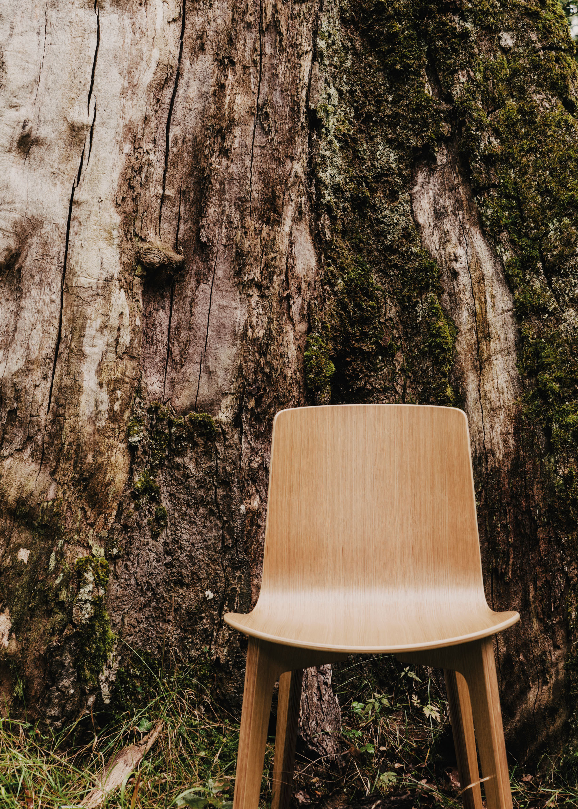 #furniture #enea #design #chairs #clase #basque #wood