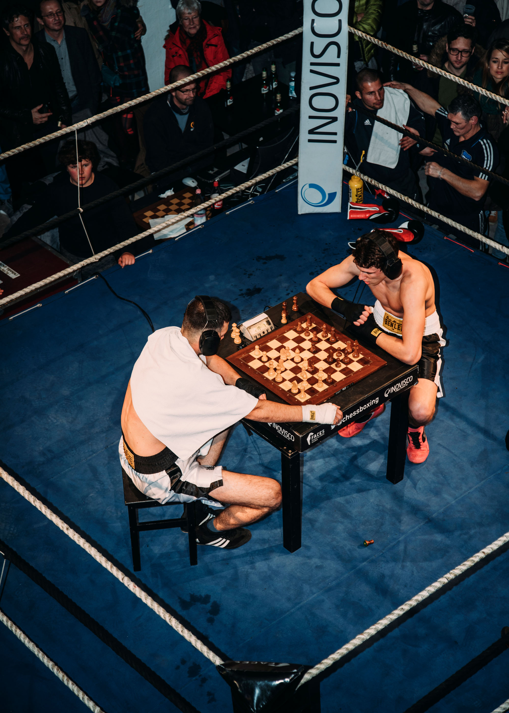 #editorial #chess #boxing #perdiz #querida #berlin