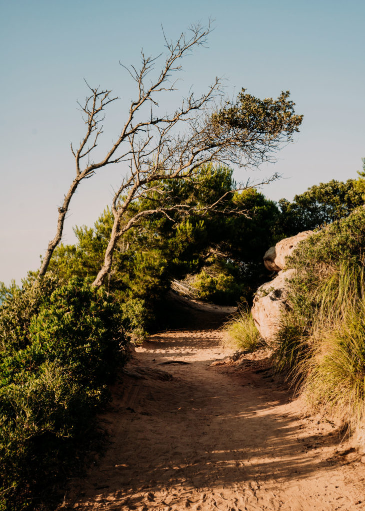 #mediterranean #spain #menorca #path #pilar