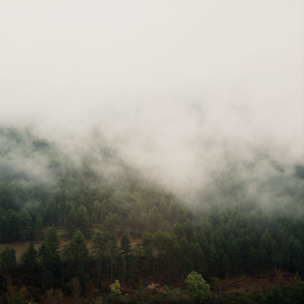 #landscapes #rem #mountains #forest 