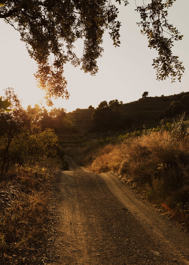 #masmartinet #wine #priorat #spain #road