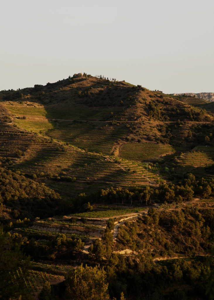 #masmartinet #wine #priorat #spain 