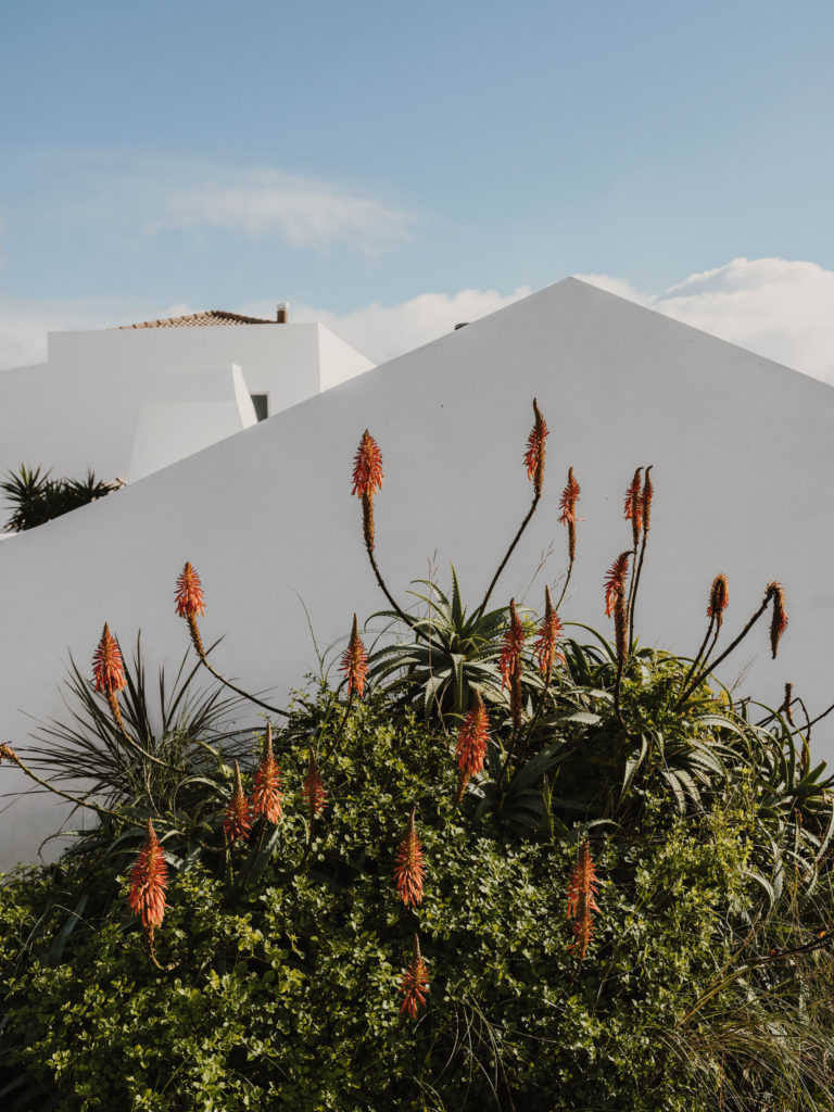 #departures #portugal #azores #whitevillas #hotels #gfx50s