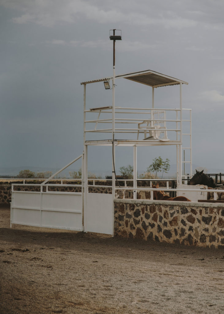 #mexico #patekphilipp #tequila #jalisco #editorial #charros #cowboys #horses #tequilacabeza