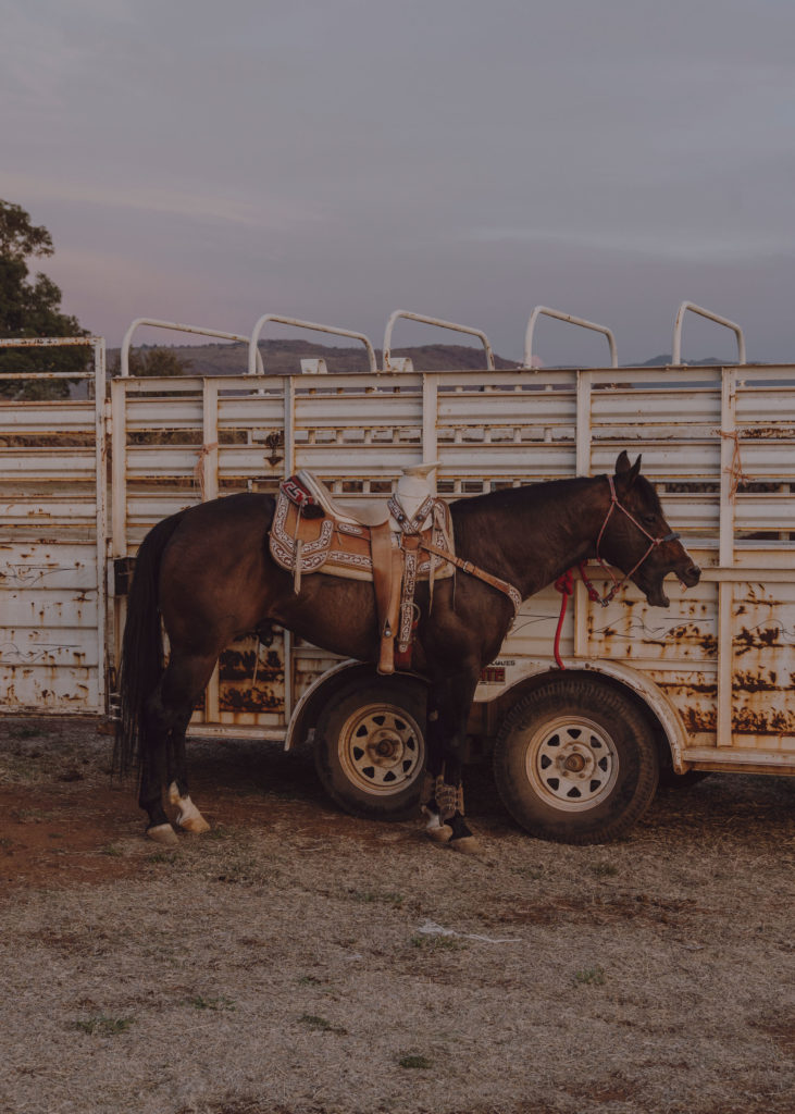 #mexico #patekphilipp #tequila #jalisco #editorial #char ros #cowboys #horses #tequilacabeza