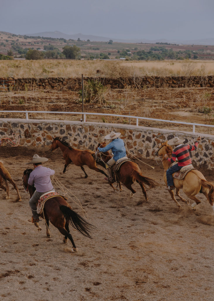 #mexico #patekphilipp #tequila #jalisco #editorial #agave #charros #cowboys #horses #tequilacabeza