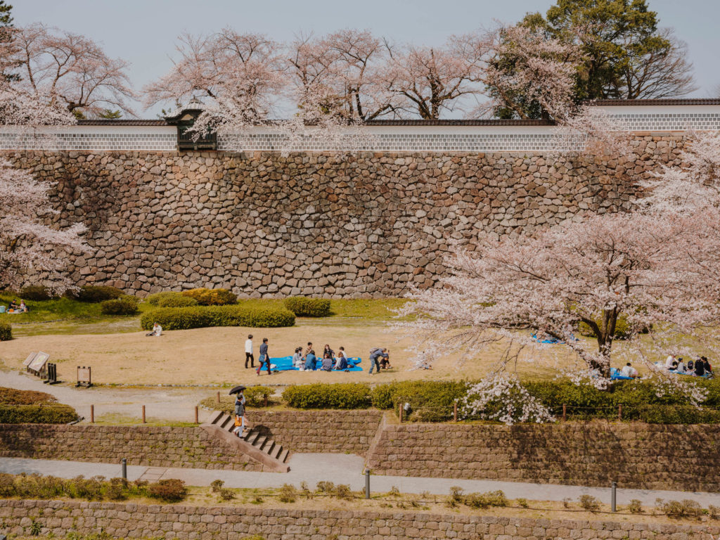 #kanazawa #park #japan #cherryblossom #castle #2018