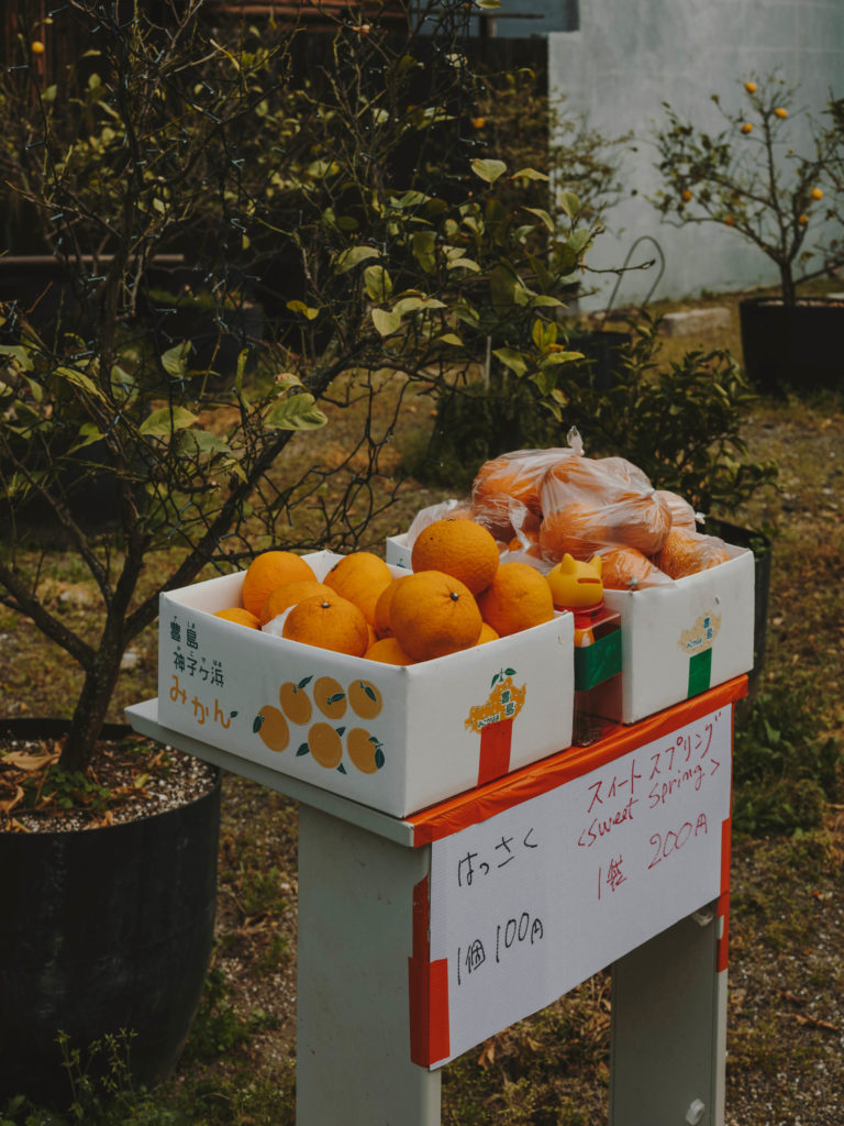#japan #teshima #oranges #2018
