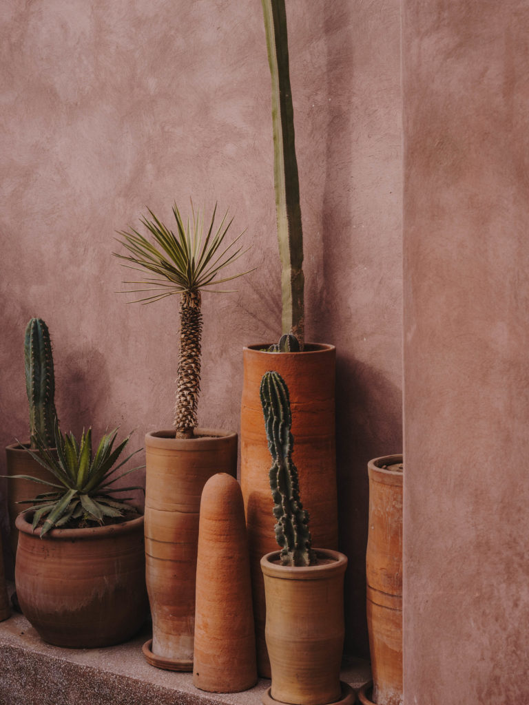 #moroco #marrakech #maisonbrummell #bergendycooke #details #hotels #plants