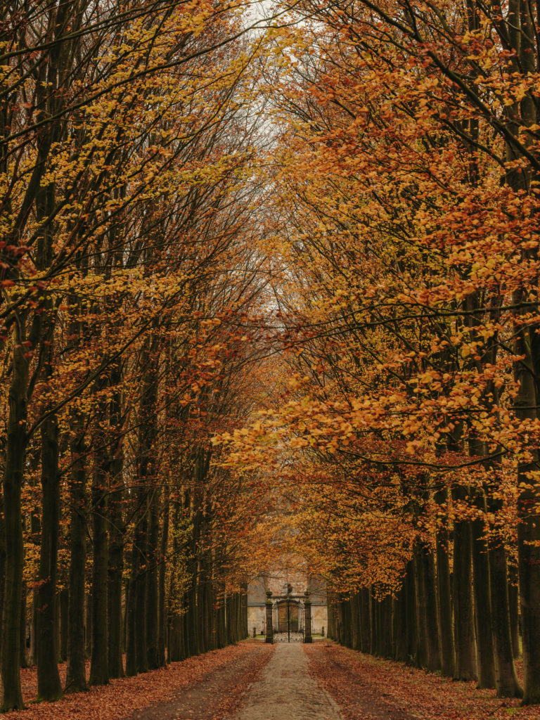 #kinfolk #gravenwezel #castle #antwerp #axelvervoordt #exteriors #gardens #belgium #path #entrance #autumn #fall
