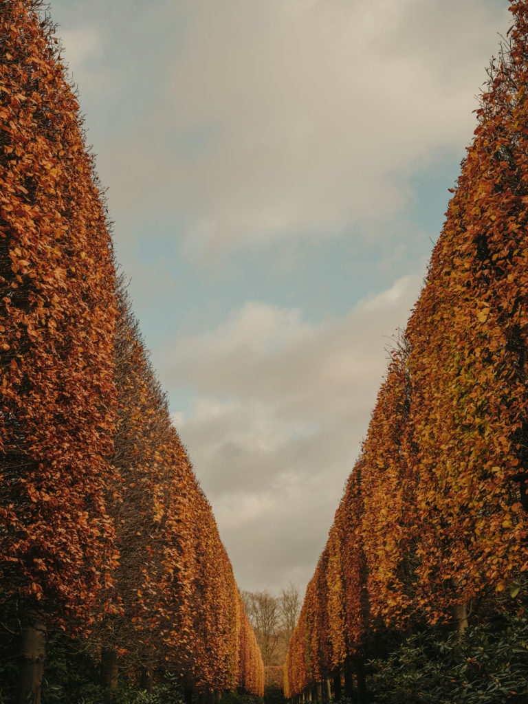 #kinfolk #gravenwezel #castle #antwerp #axelvervoordt #exteriors #gardens #belgium #autumn #fall