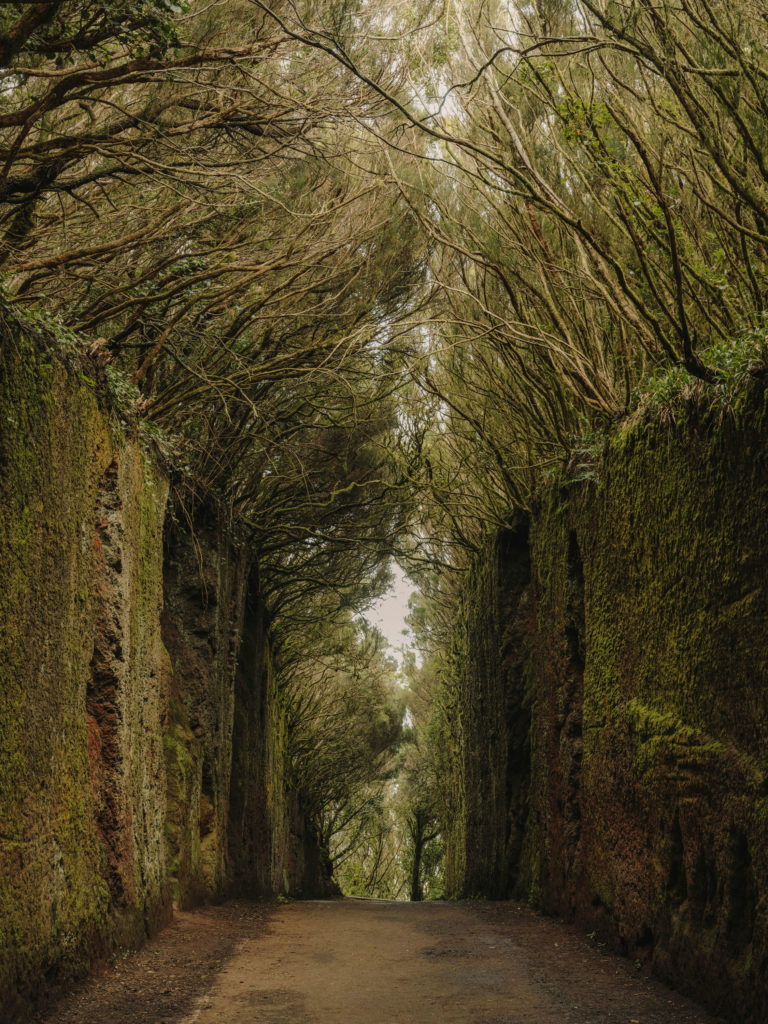 #tenerife #travel+leisure #canaryislands #spain #anaga #path #volcanic