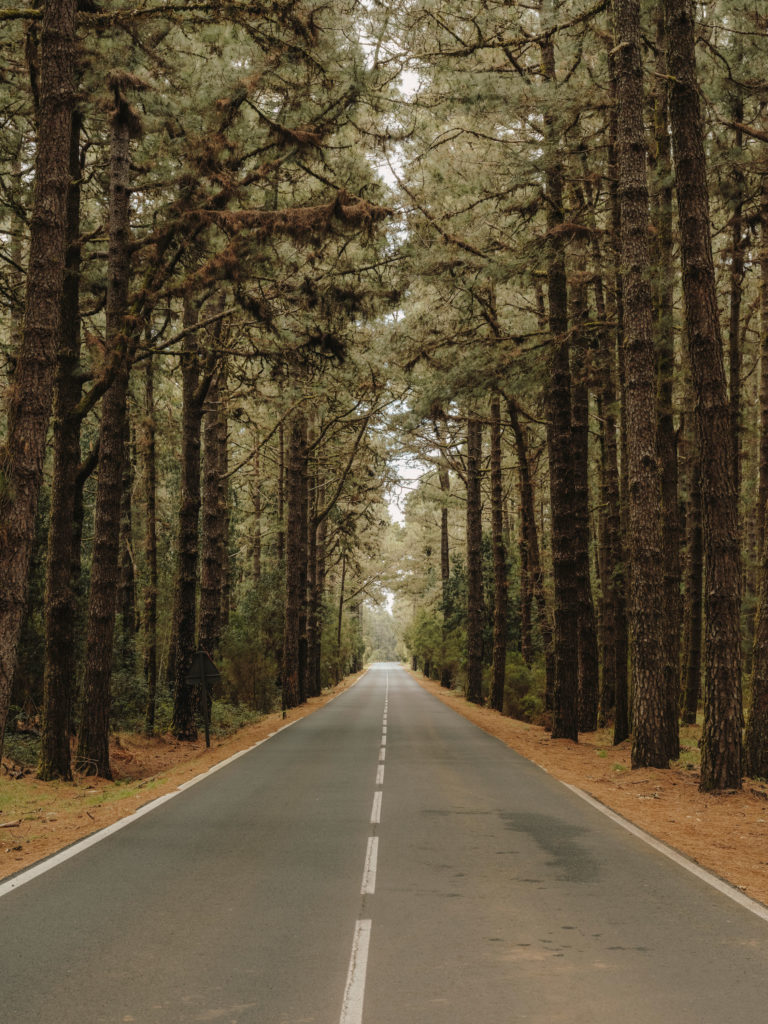 #tenerife #travel+leisure #canaryislands #spain #teide #landscapes #volcanic #road