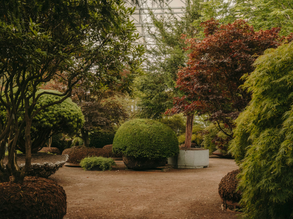 #arboretum #belgium #antwerp #gardens #plants #kettal 