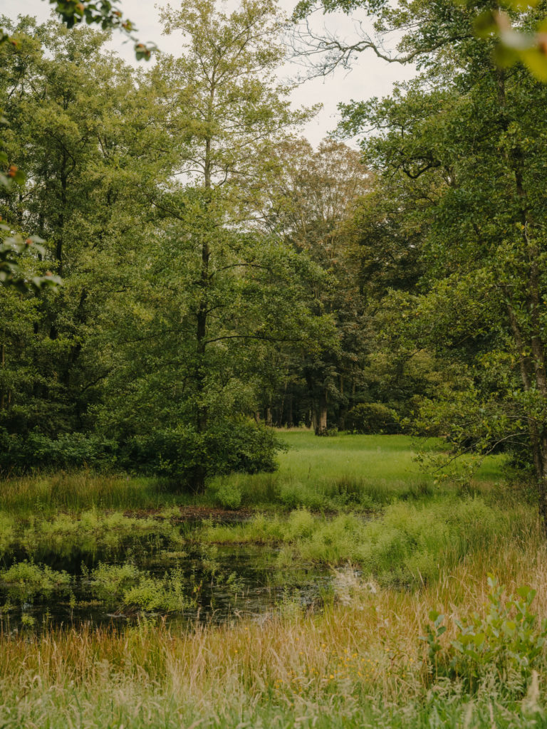 #arboretum #belgium #antwerp #gardens #plants #kettal 