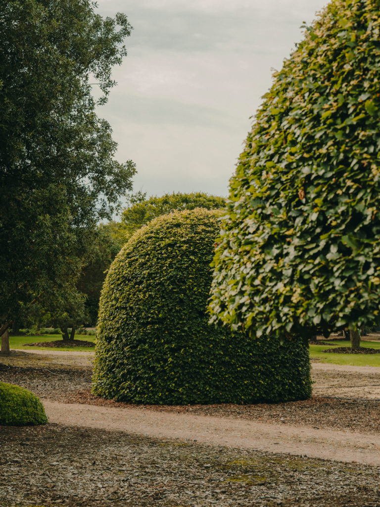 #arboretum #belgium #antwerp #gardens #plants #kettal 