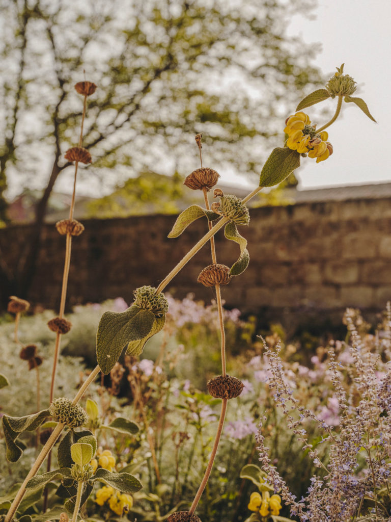 #hauser&wirth #menorca #2021 #pietoudolf #gardens #mediterranean #illadelrei #mahon