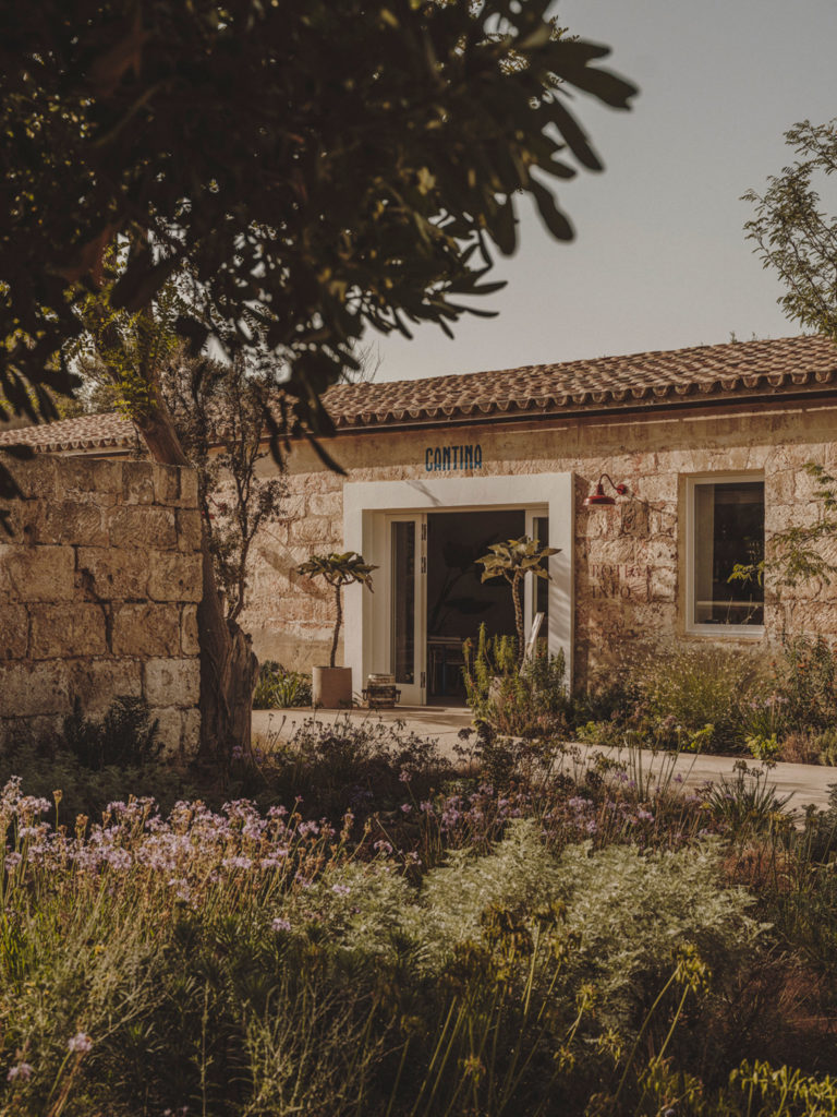 #hauser&wirth #menorca #2021 #pietoudolf #gardens #mediterranean #illadelrei #mahon