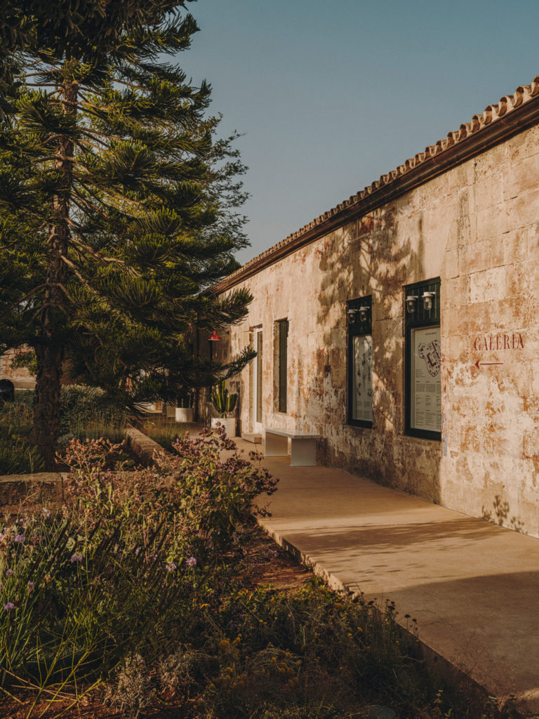 #hauser&wirth #menorca #2021 #pietoudolf #gardens #mediterranean #illadelrei #mahon