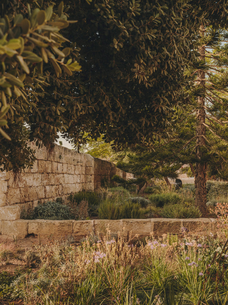 #hauser&wirth #menorca #2021 #pietoudolf #gardens #mediterranean #illadelrei #mahon
