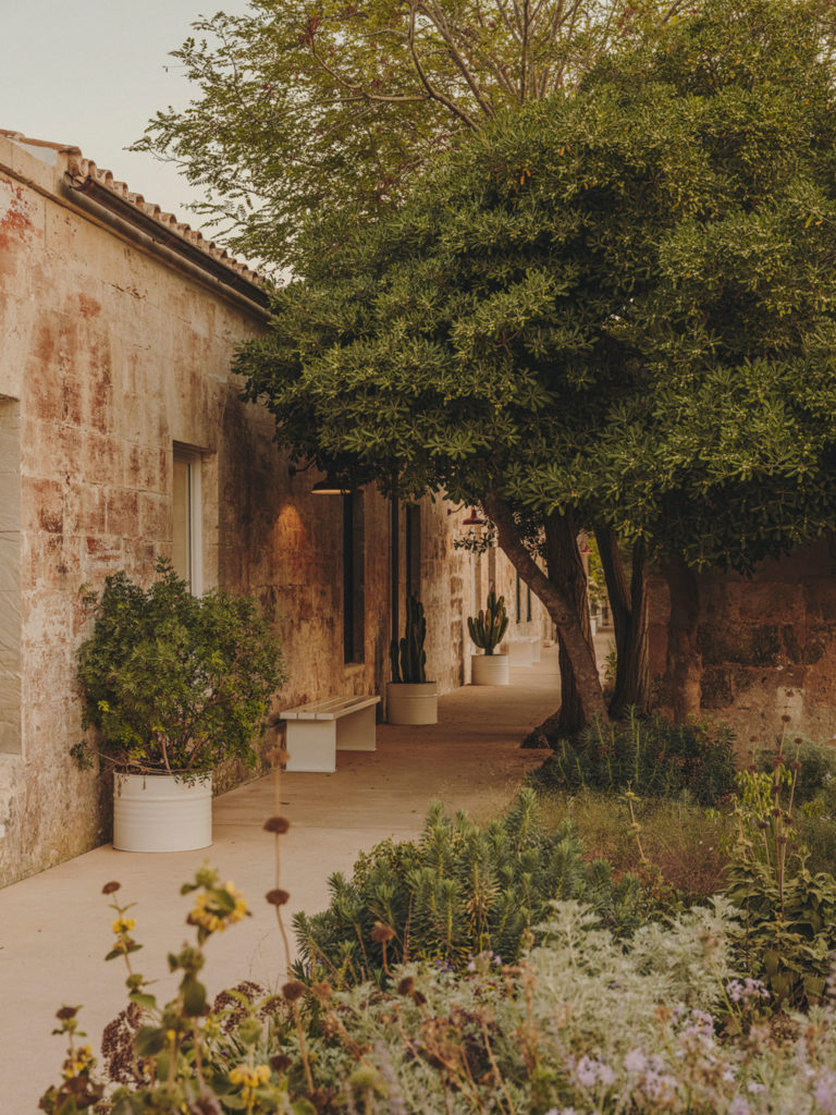 #hauser&wirth #menorca #2021 #pietoudolf #gardens #mediterranean #illadelrei #mahon